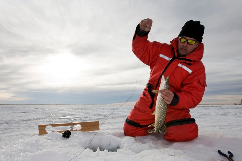Image: Catch the Big One in the UK's Premier Ice Fishing Live Casino Game