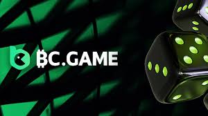 Understanding the BC.Game Privacy Policy A Comprehensive Guide