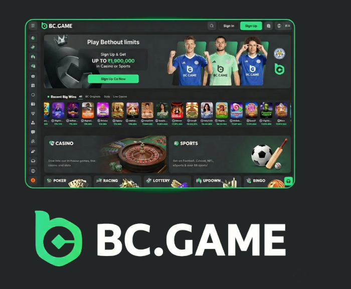 Corgibet Casino Online A Comprehensive Guide to Winning Big